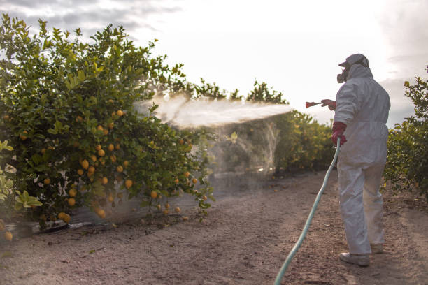Best Affordable Pest Control Services  in Granbury, TX